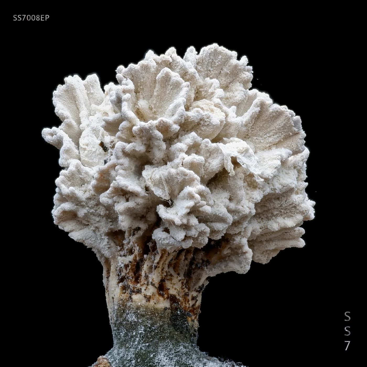 Consistência cover artwork