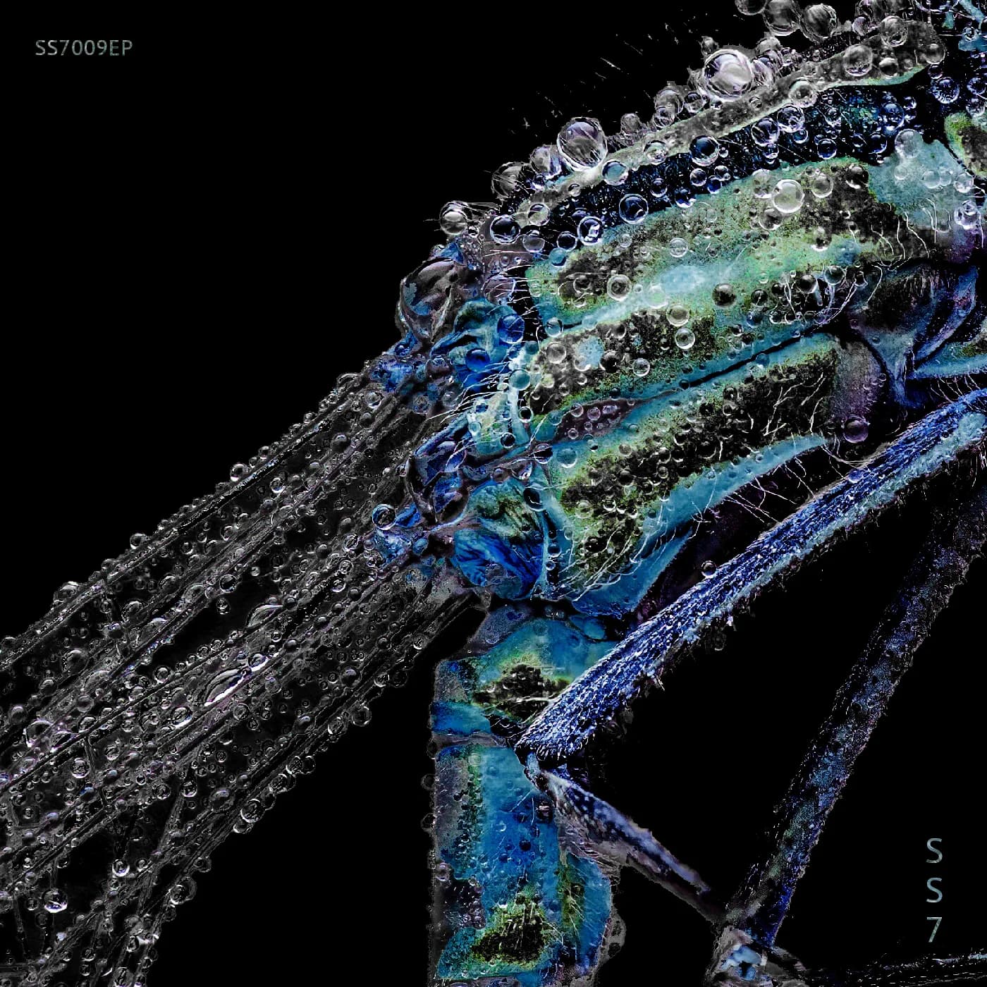 Dynamics cover artwork