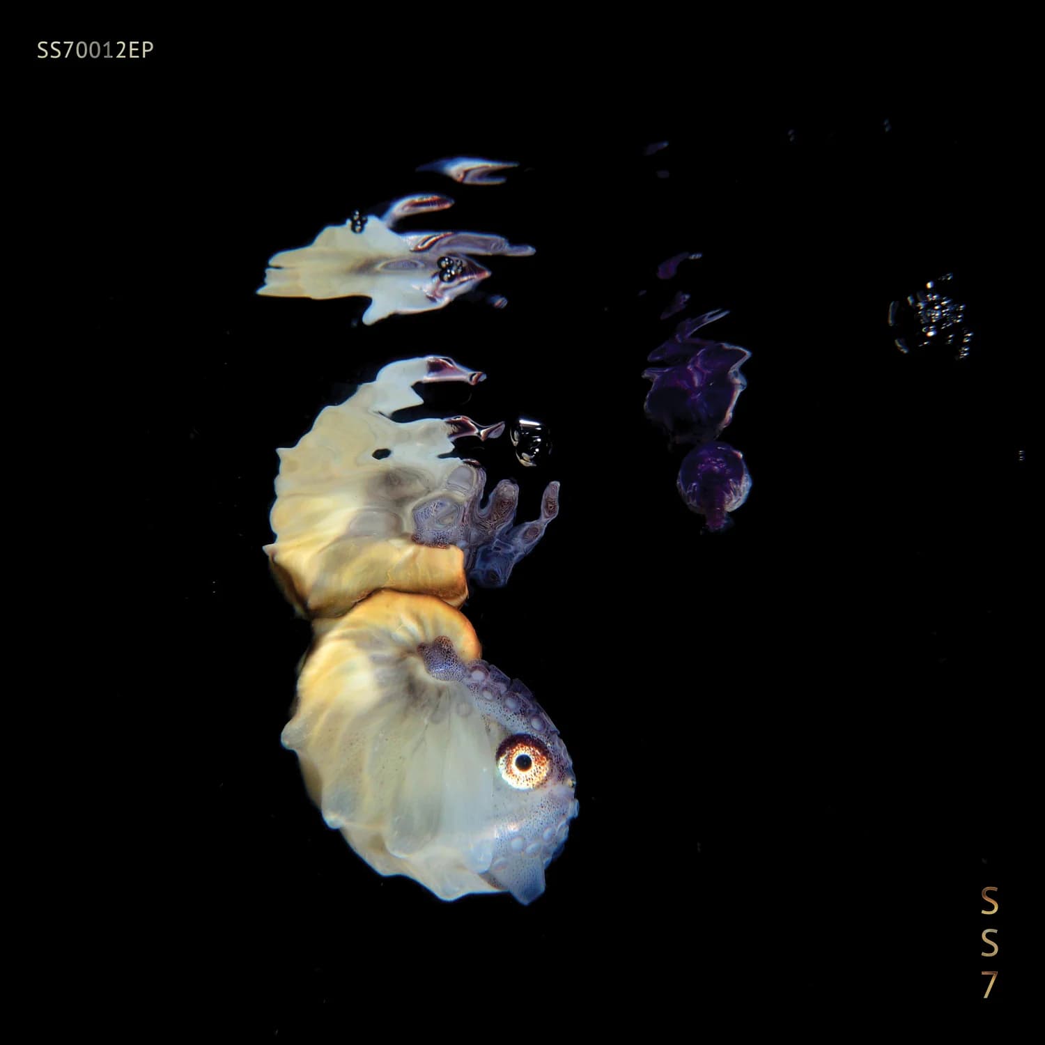 Bystander cover artwork