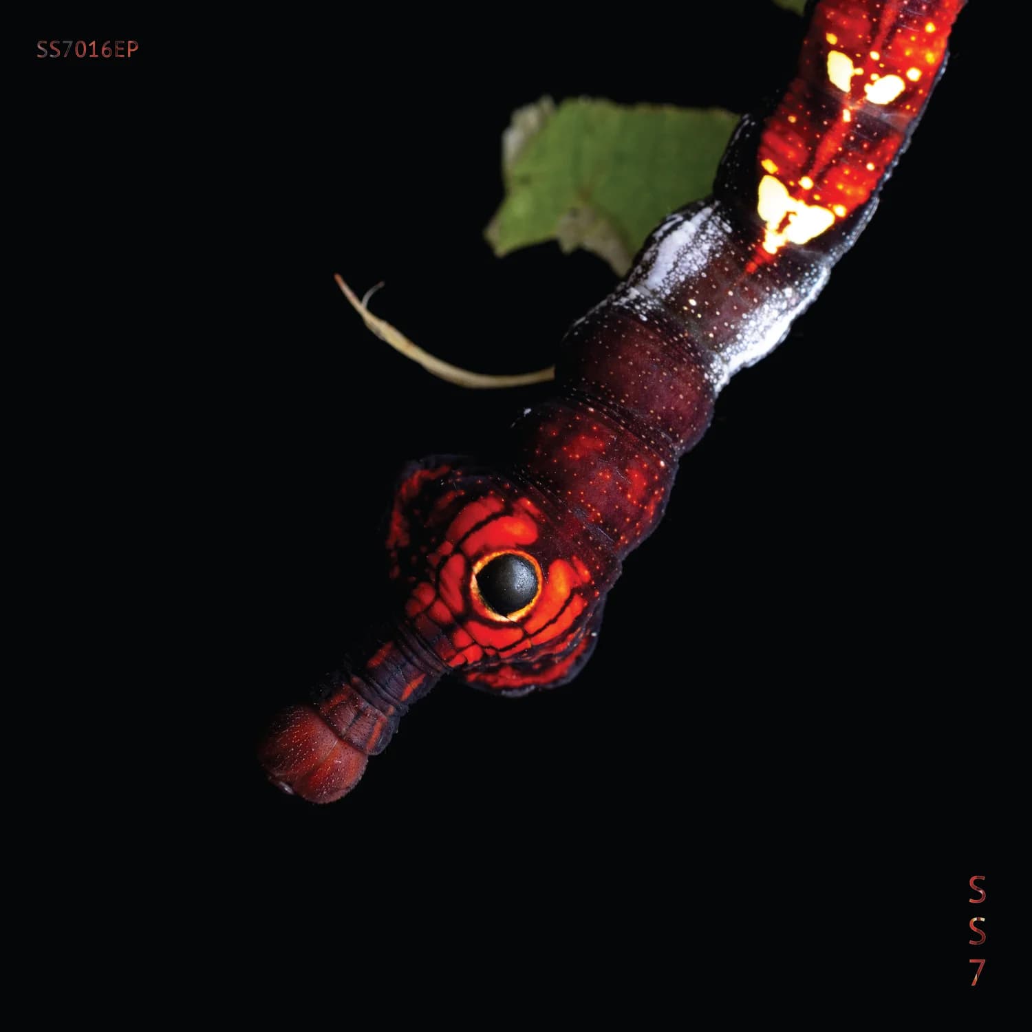 Balance cover artwork